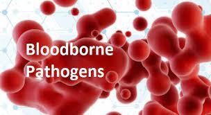 Bloodborne Pathogen & Sharps Image