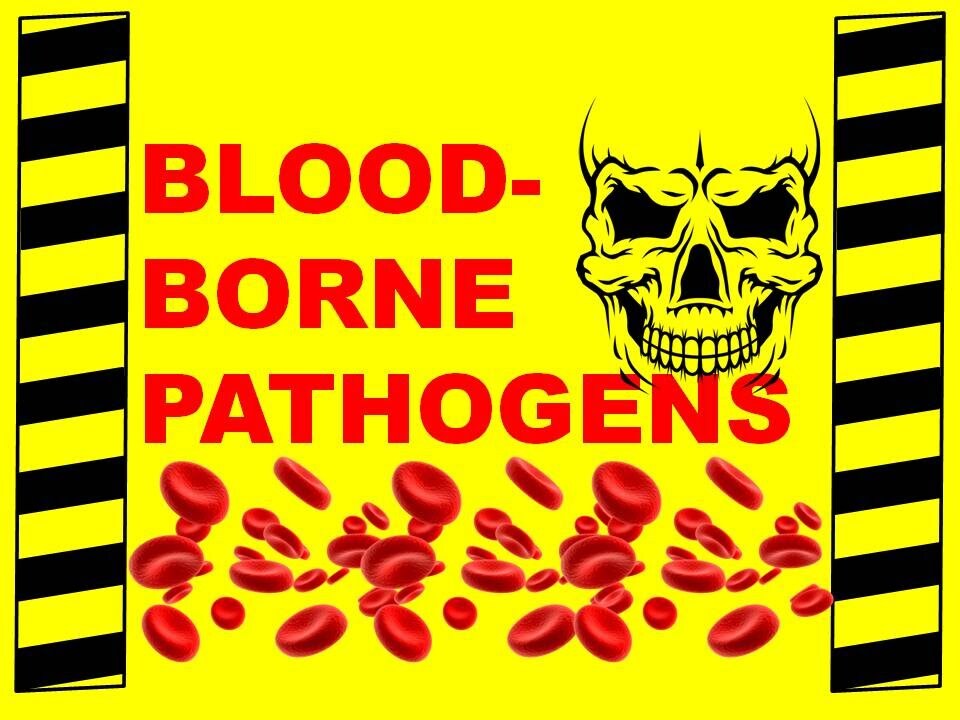 Bloodborne Pathogens Image
